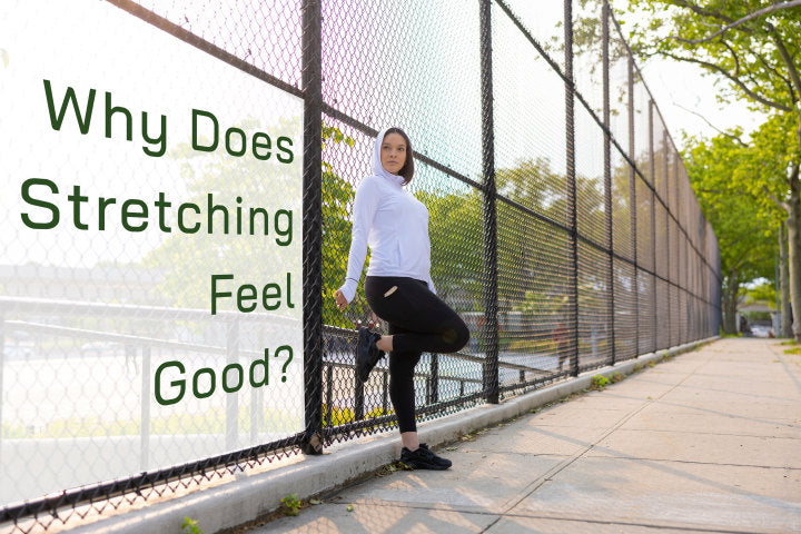 why-does-stretching-feel-good-stelle