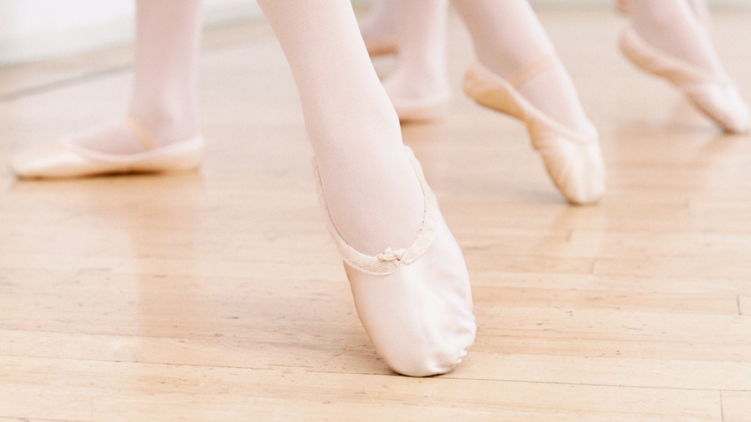 Stelle Canvas Ballet Shoes Buying Guide