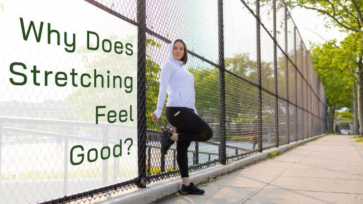 Why Does Stretching Feel Good? - Stelle