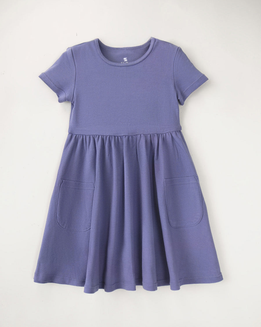 Dusty Grape Girls Short Sleeve A-Line Twirl Dress
