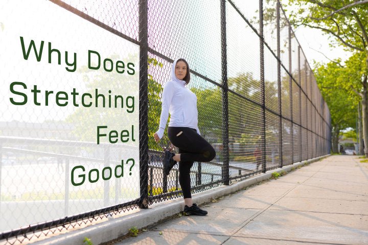 Why Does Stretching Feel Good? - Stelle