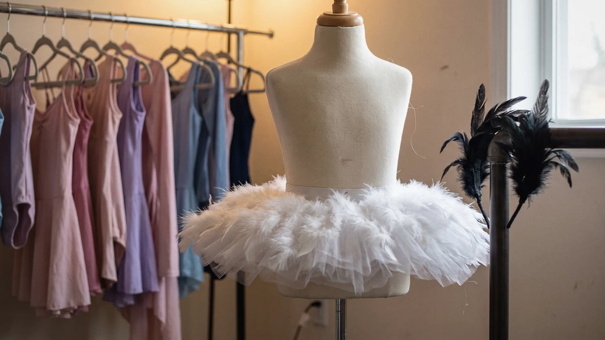 White swan tutu and black headpiece from the Swan Lake ballet